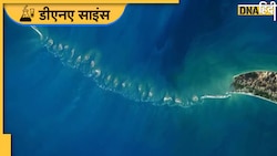 Ram Setu Facts: रामसेतु का पत्थर पानी में कैसे तैरता है? जानिए पूरी कहानी और साइंस
