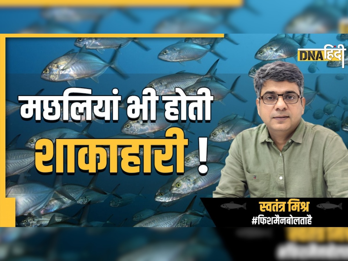 Benefits of Fish Eating: क्या मछलियां भी होती हैं शाकाहारी और मांसाहारी? 