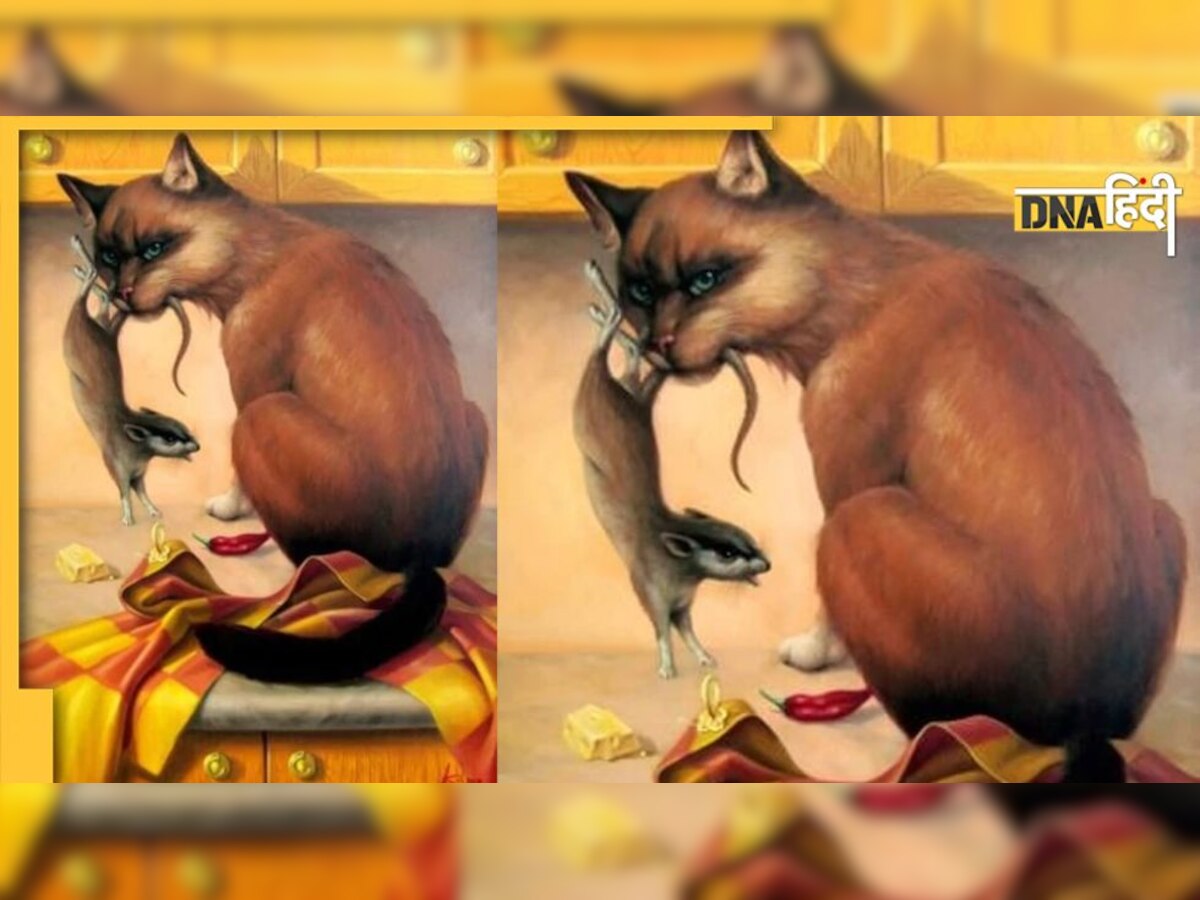 Optical Illusion: बिल्ली-चूहे के बीच छिपी है एक औरत, 9 सेकंड में ढूंढकर दिखाइए