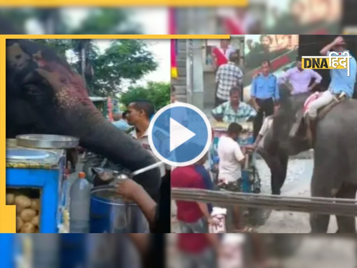 Viral Video: सड़क किनारे गोलगप्पे खाता दिखा हाथी, देखें कैसे लिए चटकारे