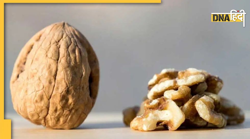 Walnut Benefits रोजाना खाना शुरू करें 2 अखरोट, सेहत हो जाएगी चकाचक