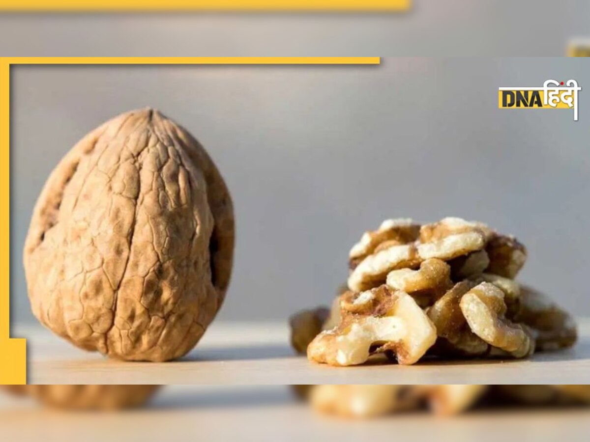 Walnut Benefits: रोजाना खाना शुरू करें 2 अखरोट, सेहत हो जाएगी चकाचक, जानें सही तरीका और फायदे 