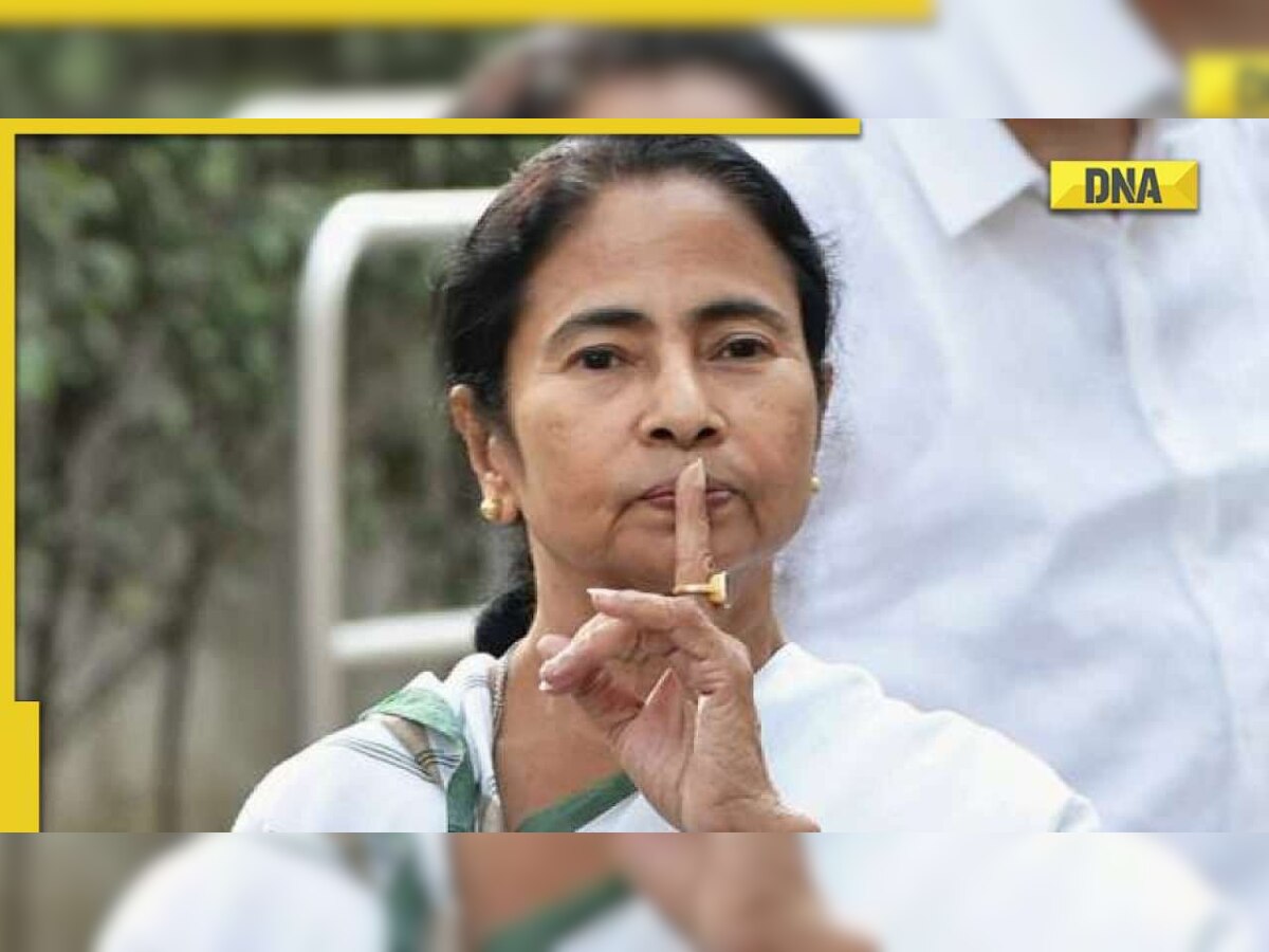 Mamata Banerjee breaks silence on Mahatma Gandhi lookalike asura idol at Durga Puja pandal