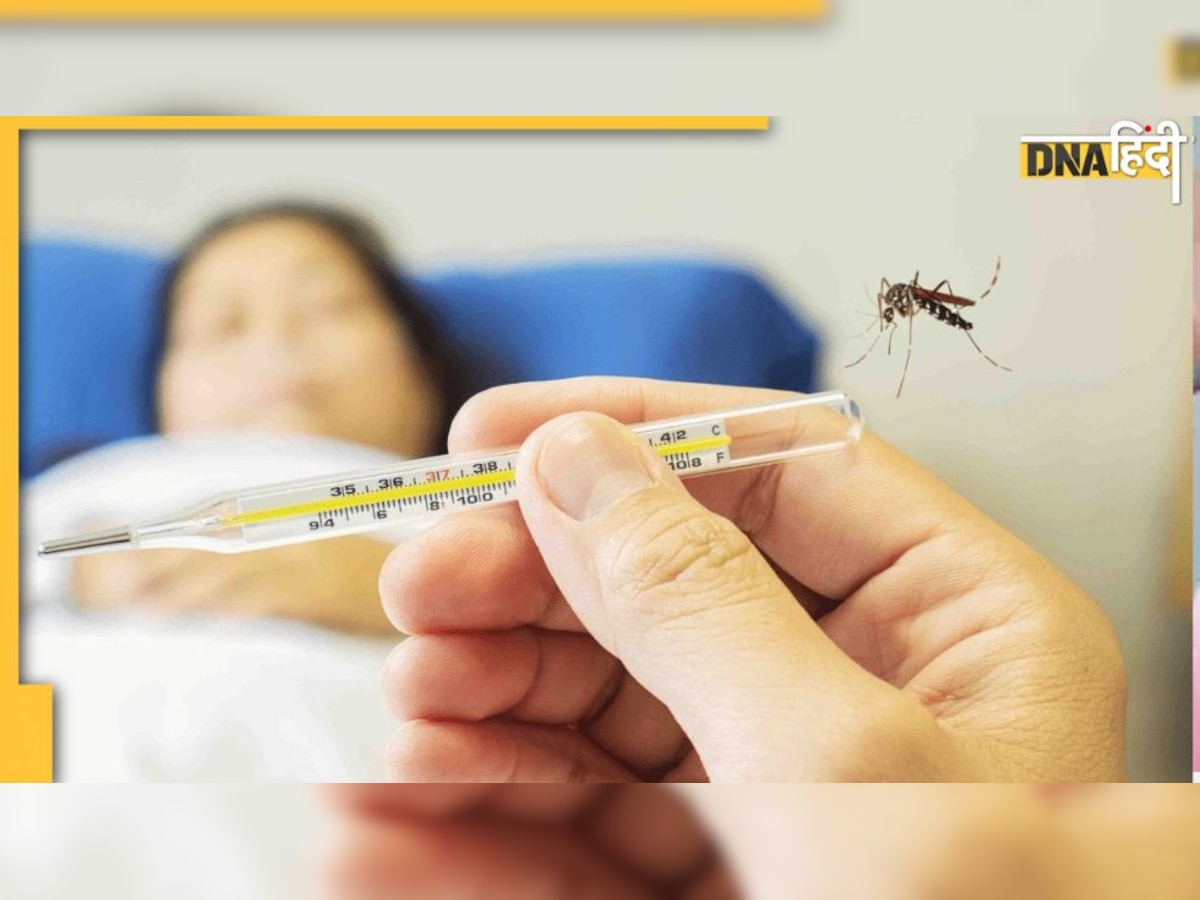 Dengue Fever: डेंगू होते ही तुंरत करें ये उपाय, नहीं गिरेगा प्लेटलेट्स, जानें लक्षण और बचाव