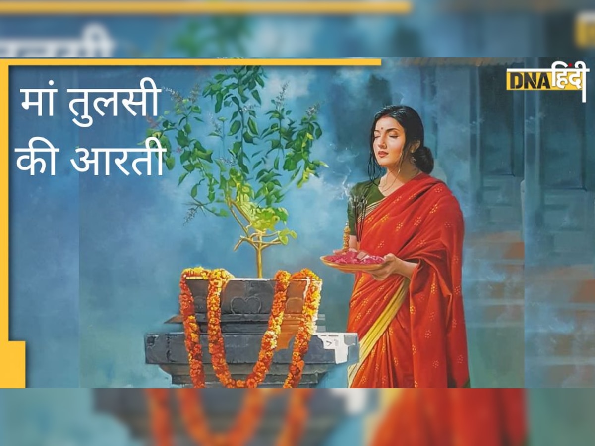 Tulsi Aarti: सुख-सौभाग्य और अखंड सुहाग के लिए रोज पढ़ें तुलसी आरती 