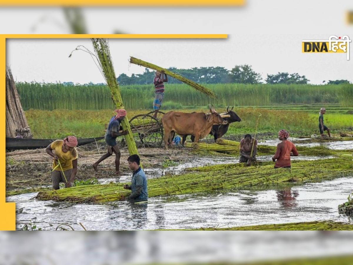 आज जारी होगी PM Kisan 12th Installment, ऐसे चेक करें बेनिफिशरी लिस्ट, पेमेंट डिटेल