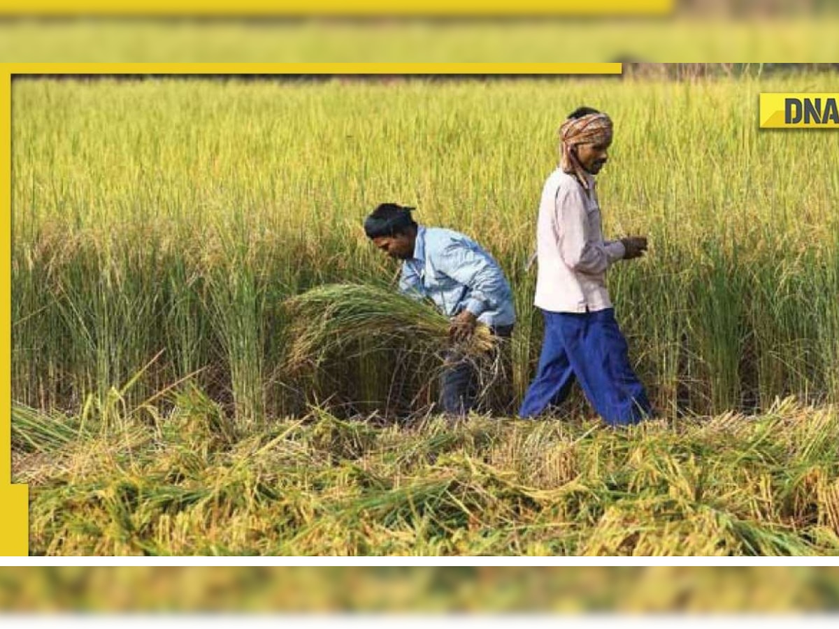 PM Kisan Saman Nidhi Yojana: PM Modi to release 12th instalment today, here’s how you can check status on mobile app