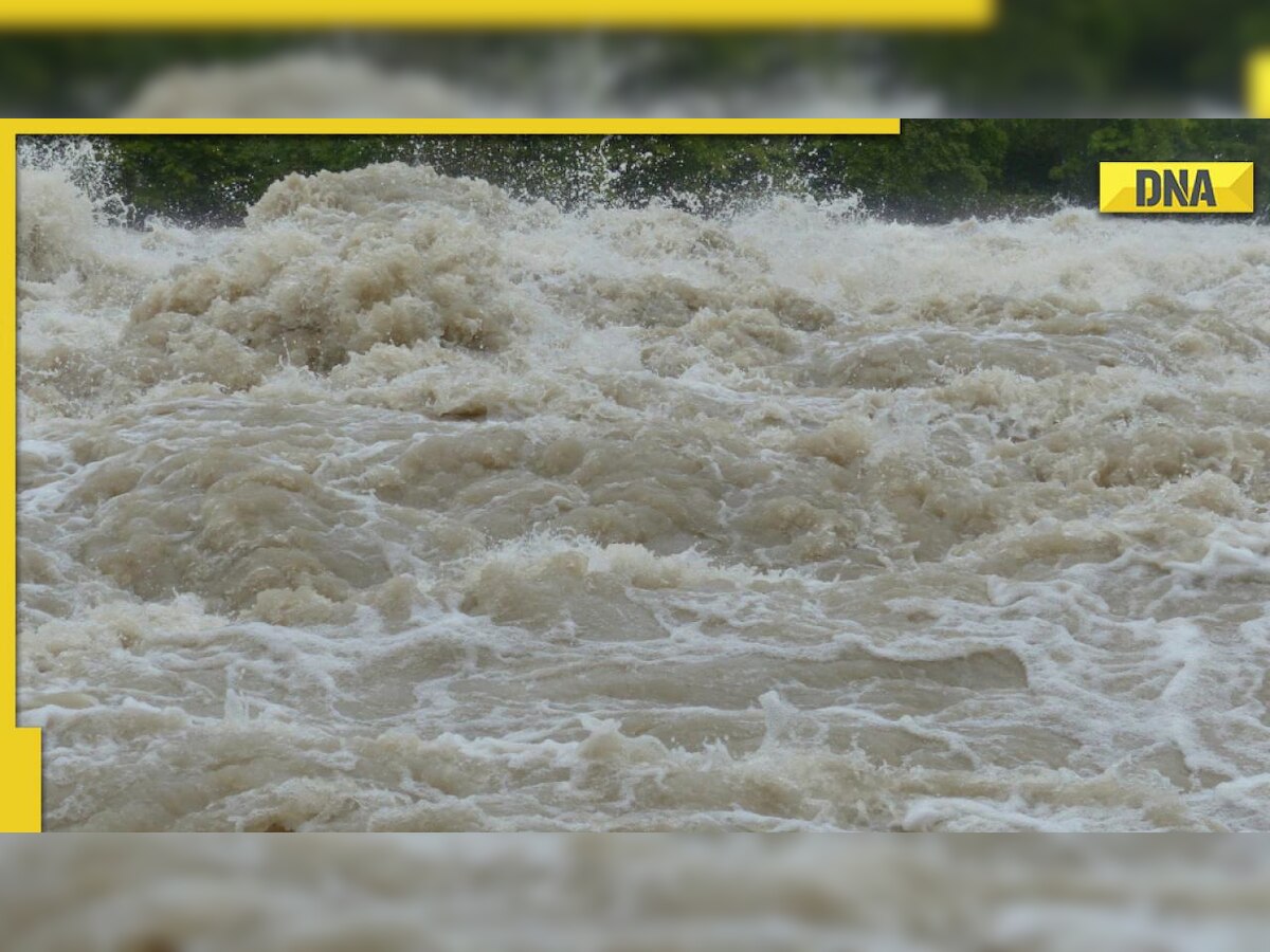 Nigeria floods: Death toll crosses 600 as disastrous floods leave country crippled