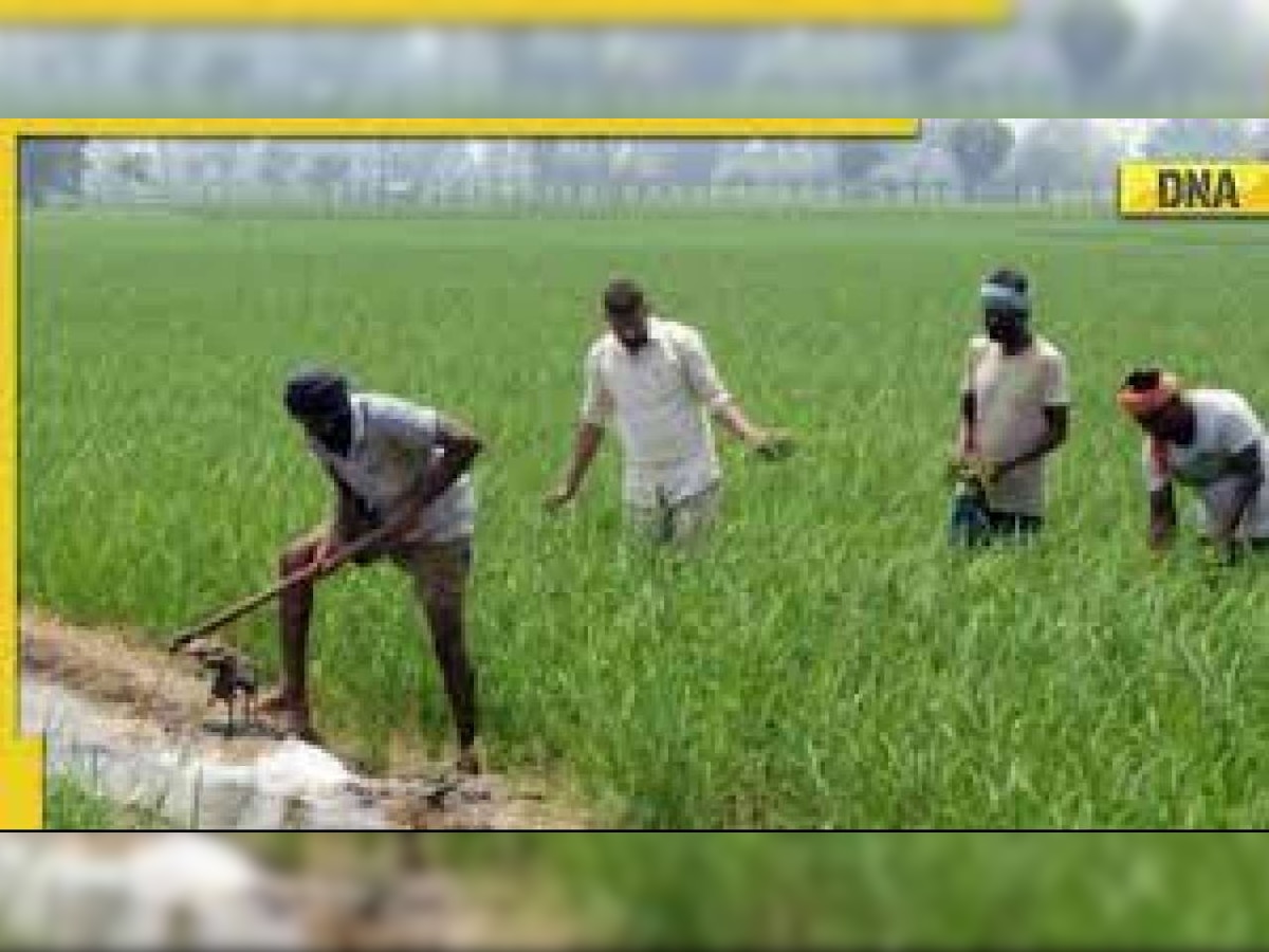 PM Kisan Saman Nidhi Yojana: Rs 2,000 transferred to farmers' bank accounts; how to check list of beneficiaries