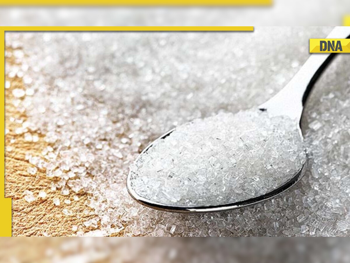 Sugar export policy for next season to be announced by Government soon, here’s what to expect