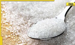 Sugar export policy for next season to be announced by Government soon, here’s what to expect