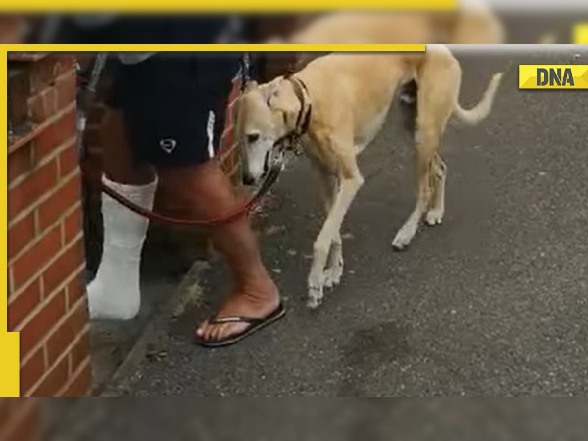 Man spends 400 dollars to treat limping dog, finds out pet was 'copying' him   