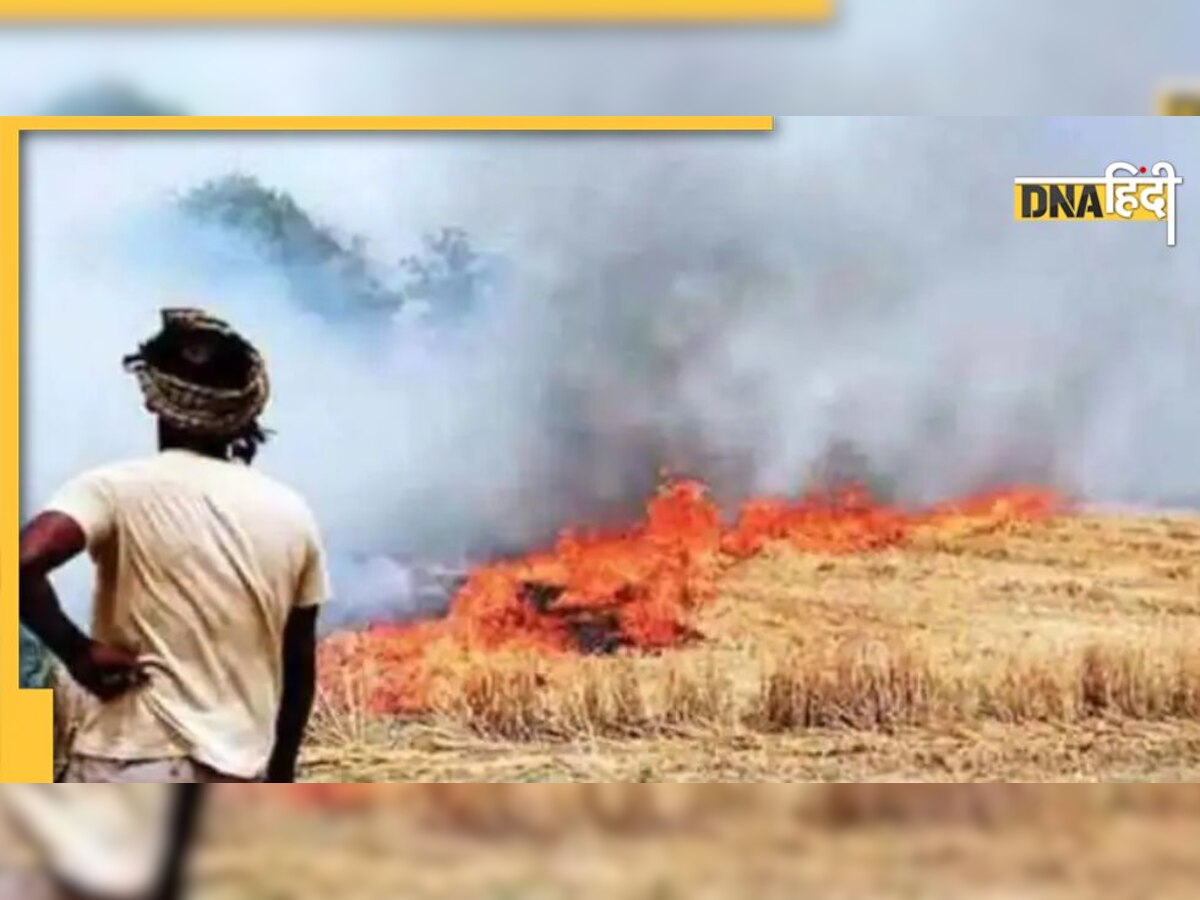 Stubble Burning: पंजाब में नहीं थम रहा है पराली जलाने का सिलसिला, क्या धुंध में फिर छिप जाएगी दिल्ली?