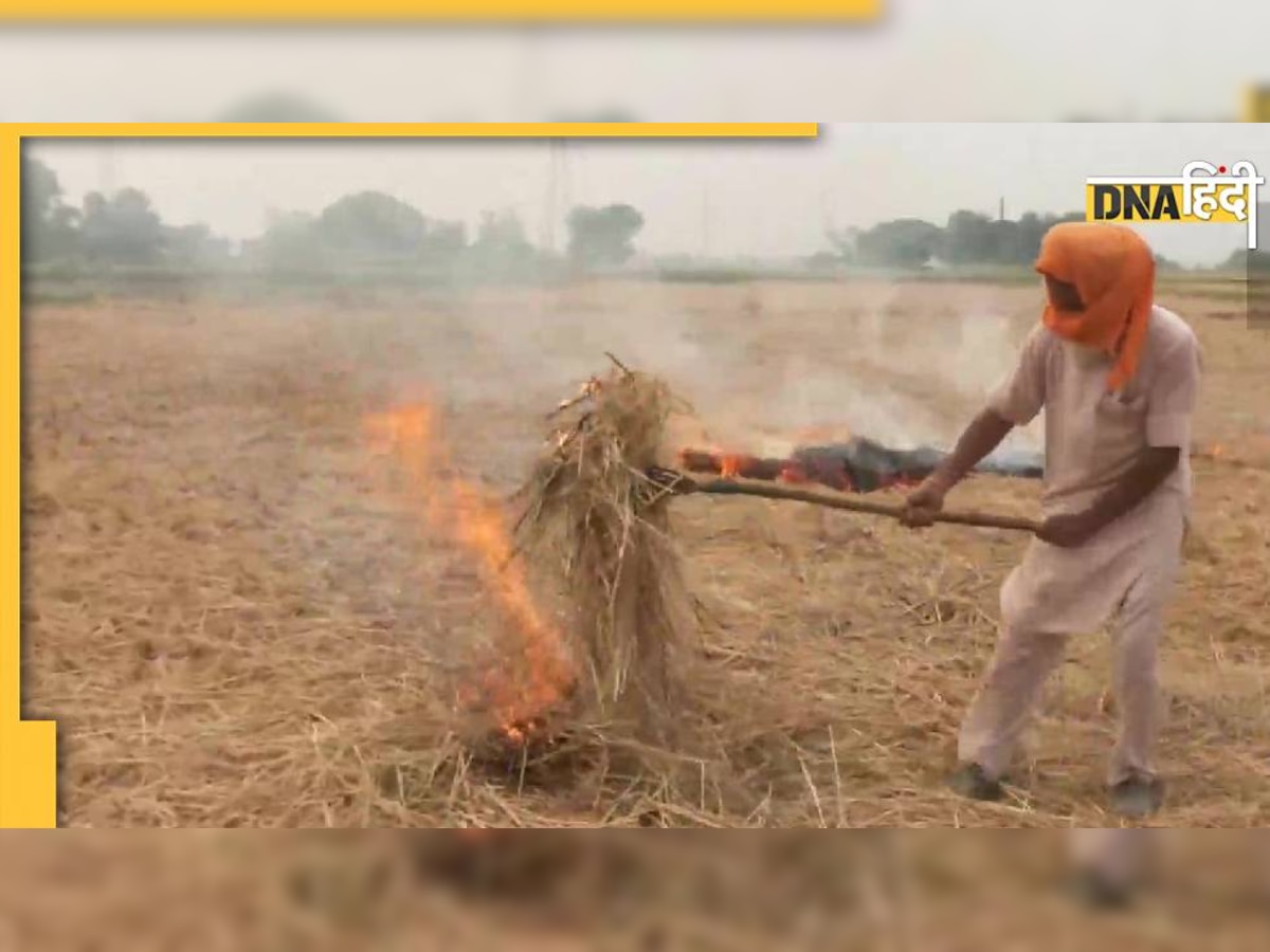 Parali Burning: पराली जलाने के 45% मामले सिर्फ पंजाब के दो जिलों से, इसी राज्य में हैं देश के 75% केस