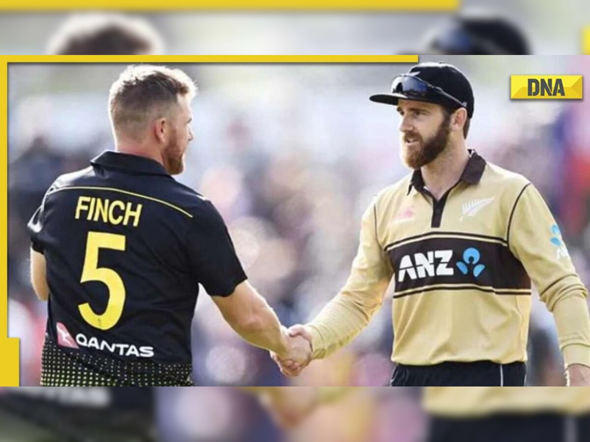 Australia vs New Zealand T20 World Cup 2022 highlights: NZ thrash World Champion Australia by 89 runs