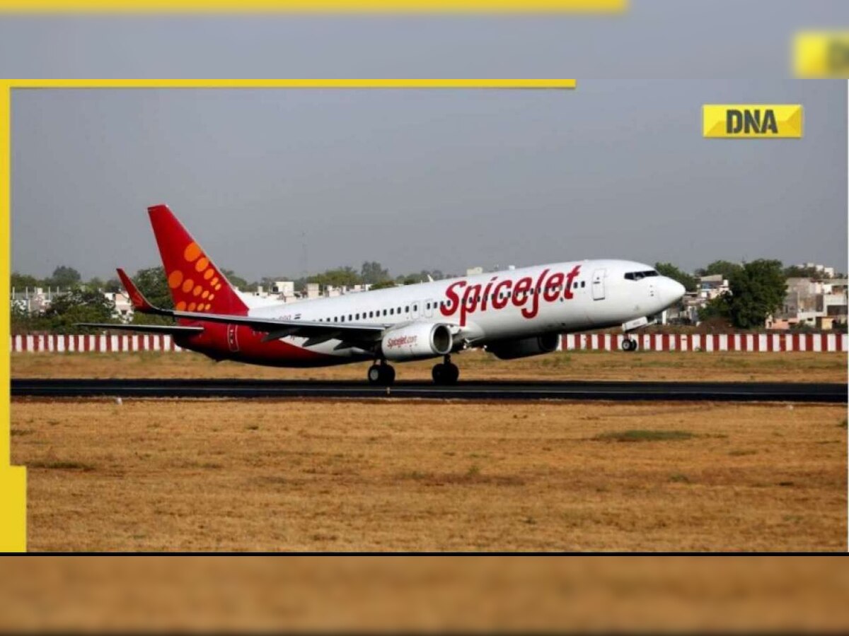 SpiceJet to operate over 50 percent of its flights from October 30 as DGCA lifts three-month-long restrictions 