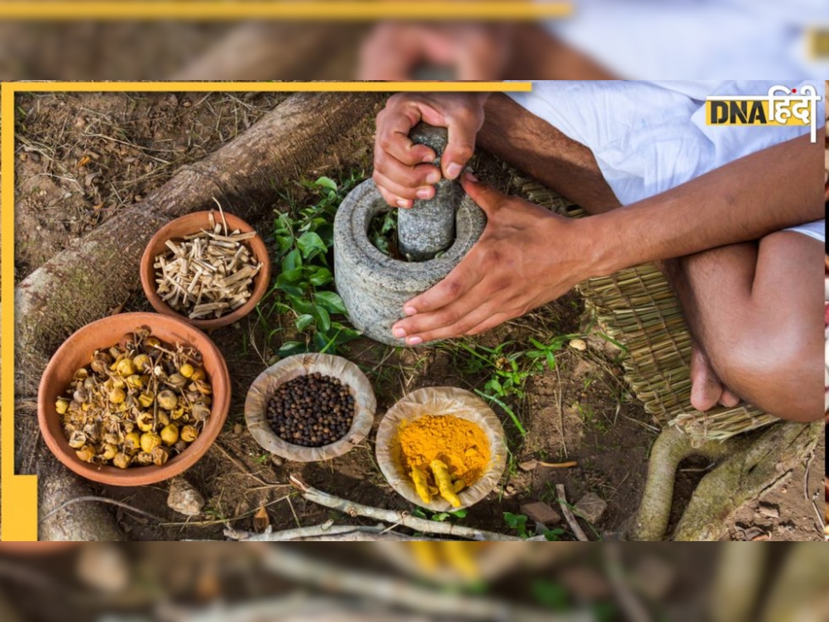 National Ayurveda Day: ये 7 आयुर्वेदिक बूटियां हर घर में होनी चाहिए, एक नहीं सौ बीमारियों की हैं ये दवा