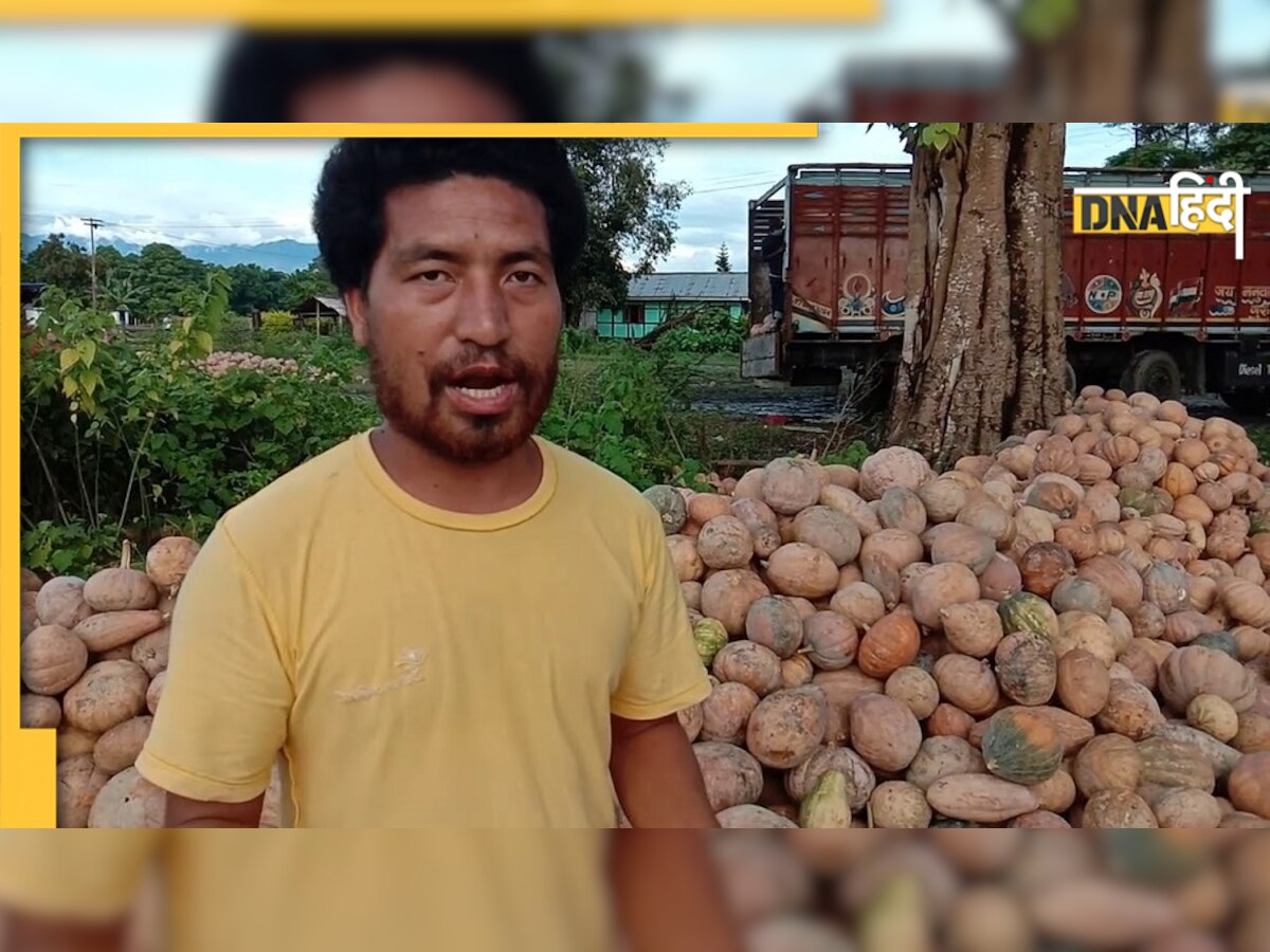 गुड न्यूज! अरुणाचल के गांवों में अफीम की जगह ले रही है कद्दू की खेती