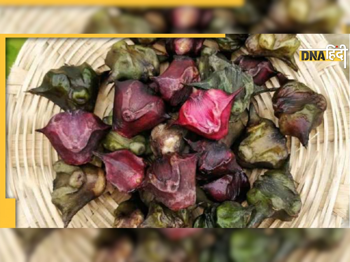 Water Chestnut Ke Fayde: झट से बीपी नॉर्मल कर देता है सिंघाड़ा, हॉर्मोन रहता है बैलेंस 