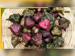 Water Chestnut Ke Fayde: झट से बीपी नॉर्मल कर देता है सिंघाड़ा, हॉर्मोन रहता है बैलेंस 