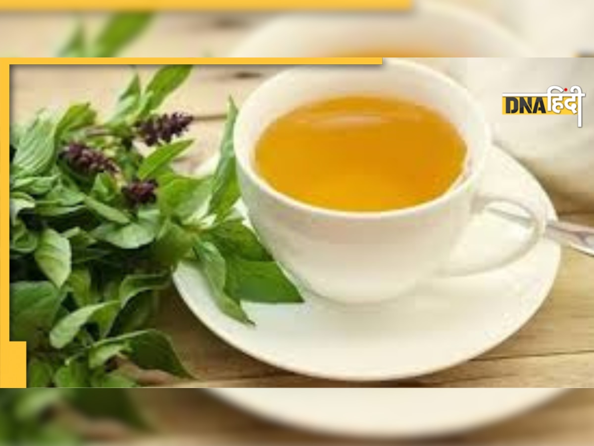 Detox Tea Benefits: शरीर को डिटॉक्स करने के लिए बेस्ट है ये हर्बल टी, बनाने का तरीका जान लें 