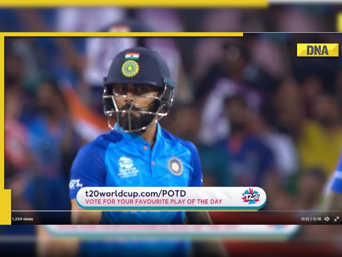 T20 World Cup 2022: Virat Kohli's reaction goes viral after smashing six against Netherlands