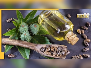 Breast Care Tips: इस बीज के तेल से करें स्तनों की मालिश, कम हो जाएगा ब्रेस्ट कैंसर का खतरा 