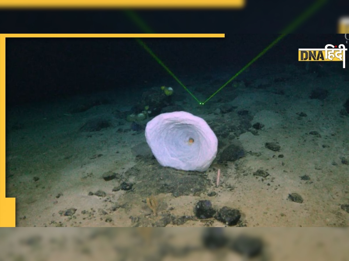 OceanGate ने Titanic के 26 साल पुराने रहस्य को सुलझाया, जानिए मलबे की रिसर्च का क्या निकला नतीजा