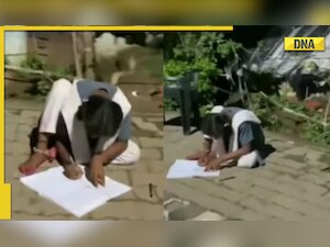 Girl spotted studying under traffic light, viral video inspires netizens