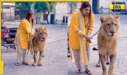 Woman takes lion for walk, viral video divides internet