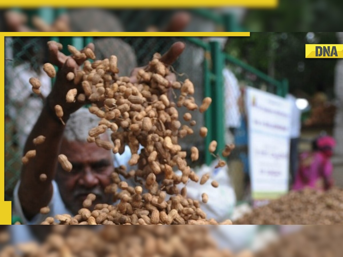 Peanuts: Health benefits of Moongfali to add in your diet