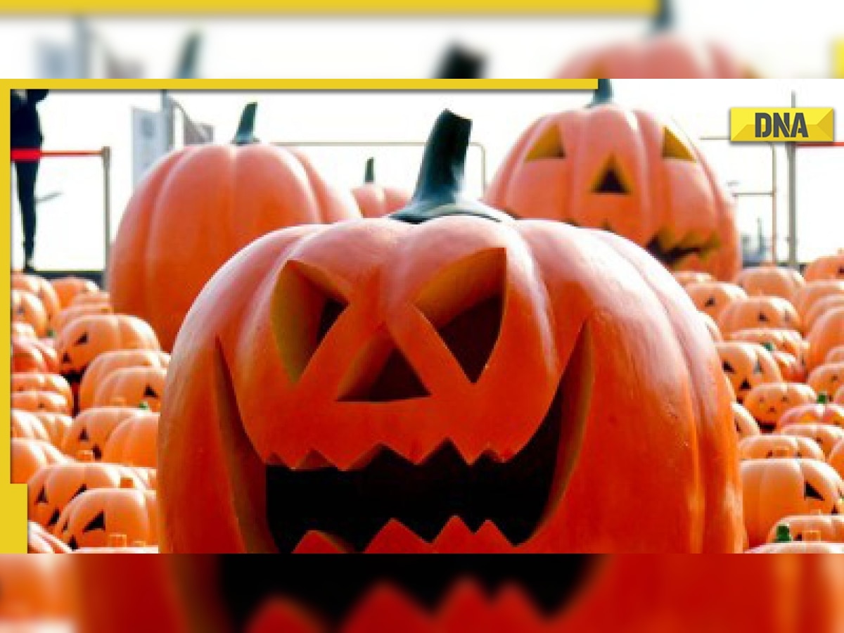 Halloween 2022: Learn about festival's history and origins - The Economic  Times