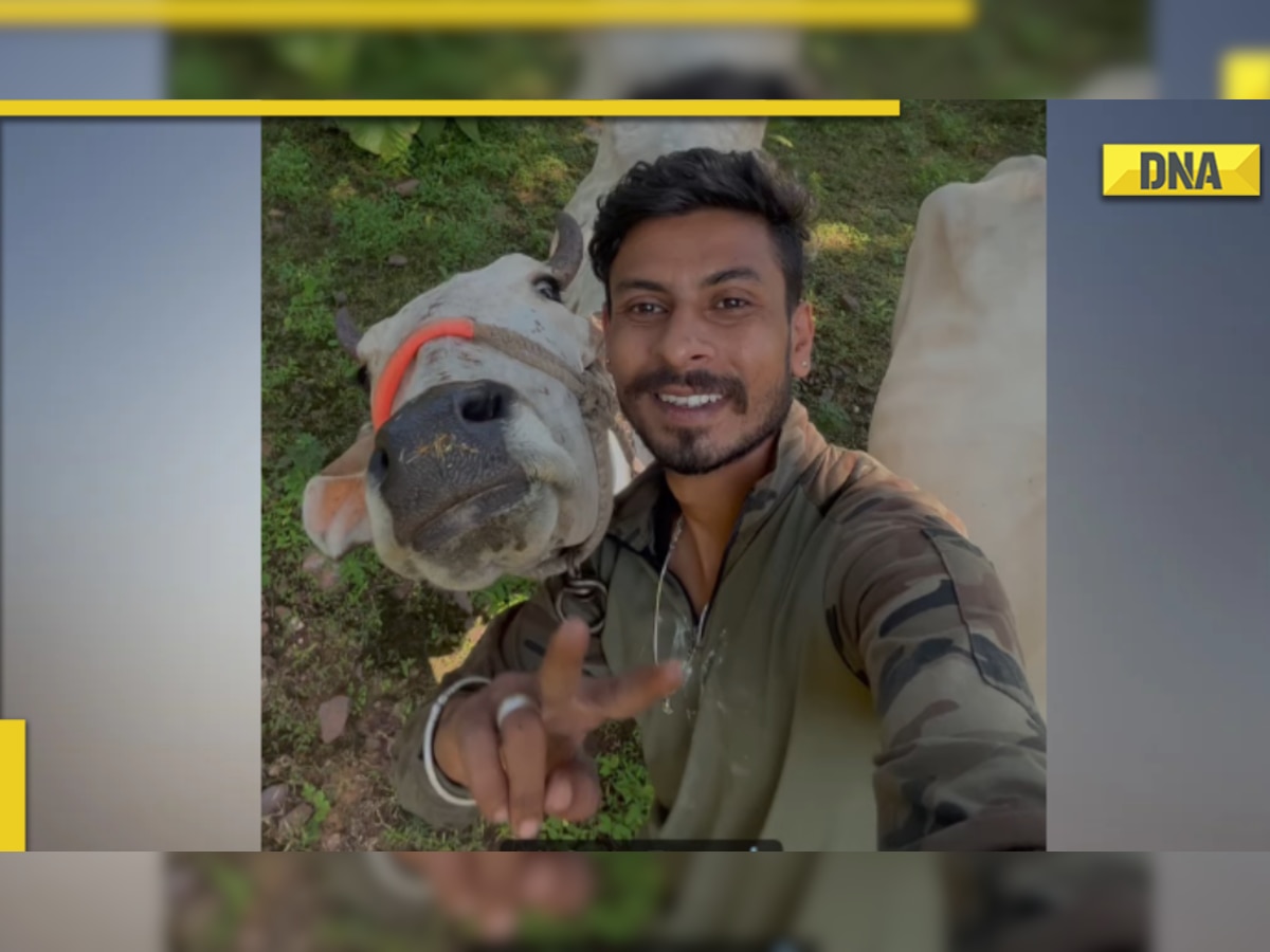 Cow poses for selfie with man, viral video will melt your heart