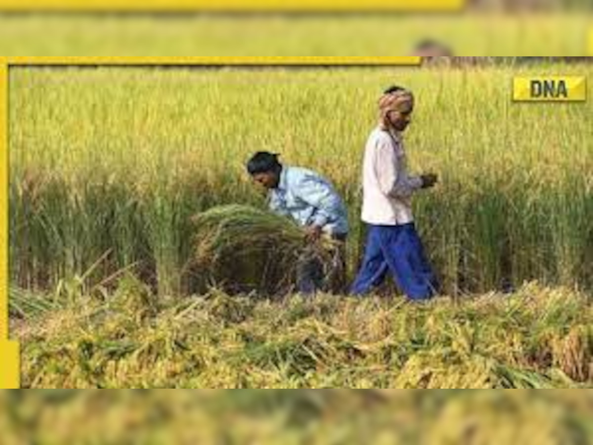 Food inflation may skyrocket after unseasonal rains impact crops, says report