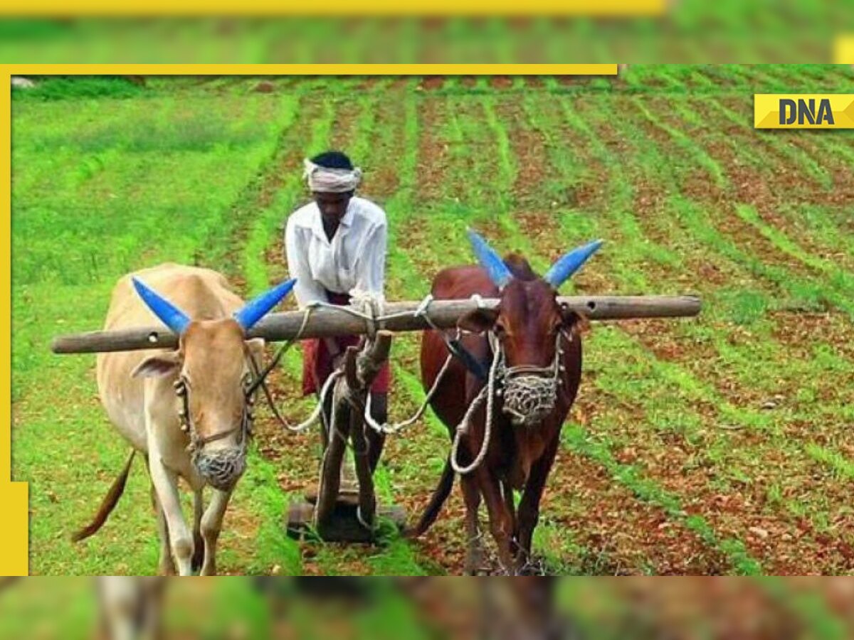 PM Kisan Yojana latest update: Beneficiaries await good news, 13th installment to release on THIS date