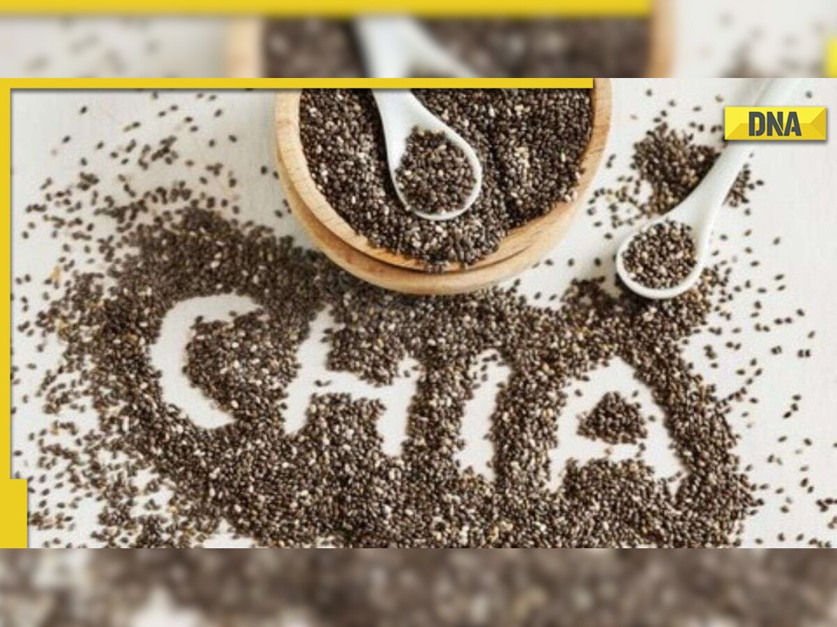 From weight loss to teeth health: Here's why chia seeds are good for your health