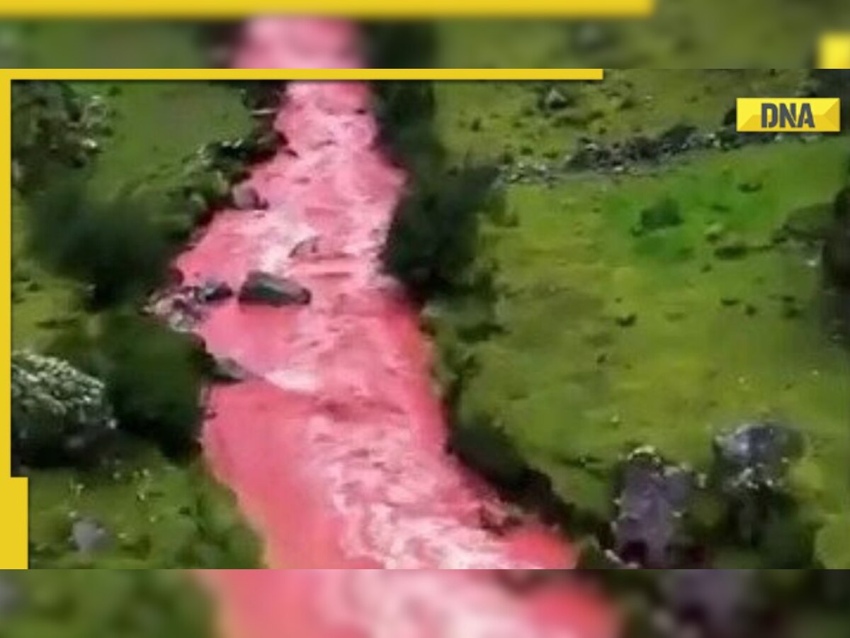 Old video of ruby red water flowing in river goes viral, know reason behind peculiar phenomenon