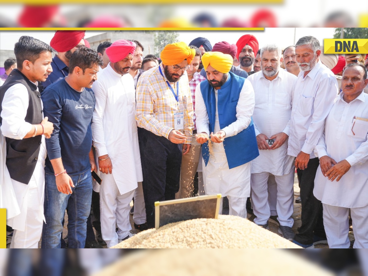Paddy procurement and lifting to be completed within a week: Bhagwant Mann