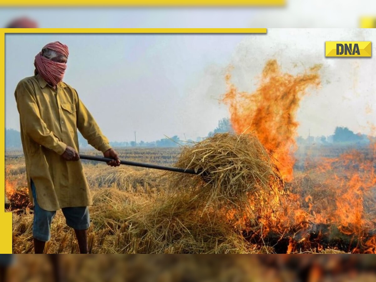 'Hazardous' air chokes capital as farm fires rage in Punjab, Agri minister says 'Amritsar's smoke can’t reach Delhi' 