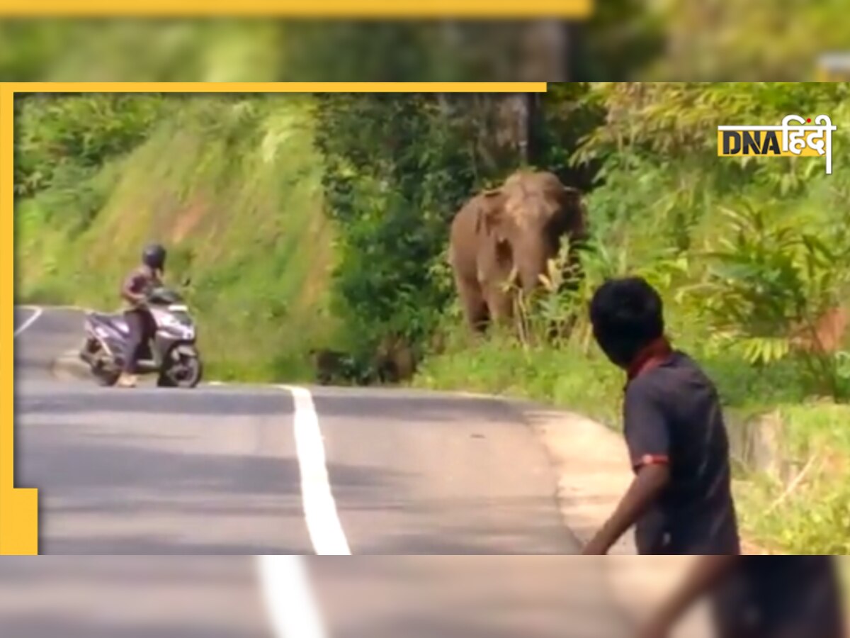 Viral Video: हाथी के पास खड़े होकर सेल्फी ले रहे थे लोग, वीडियो देख यूजर्स ने काट दिया बवाल 