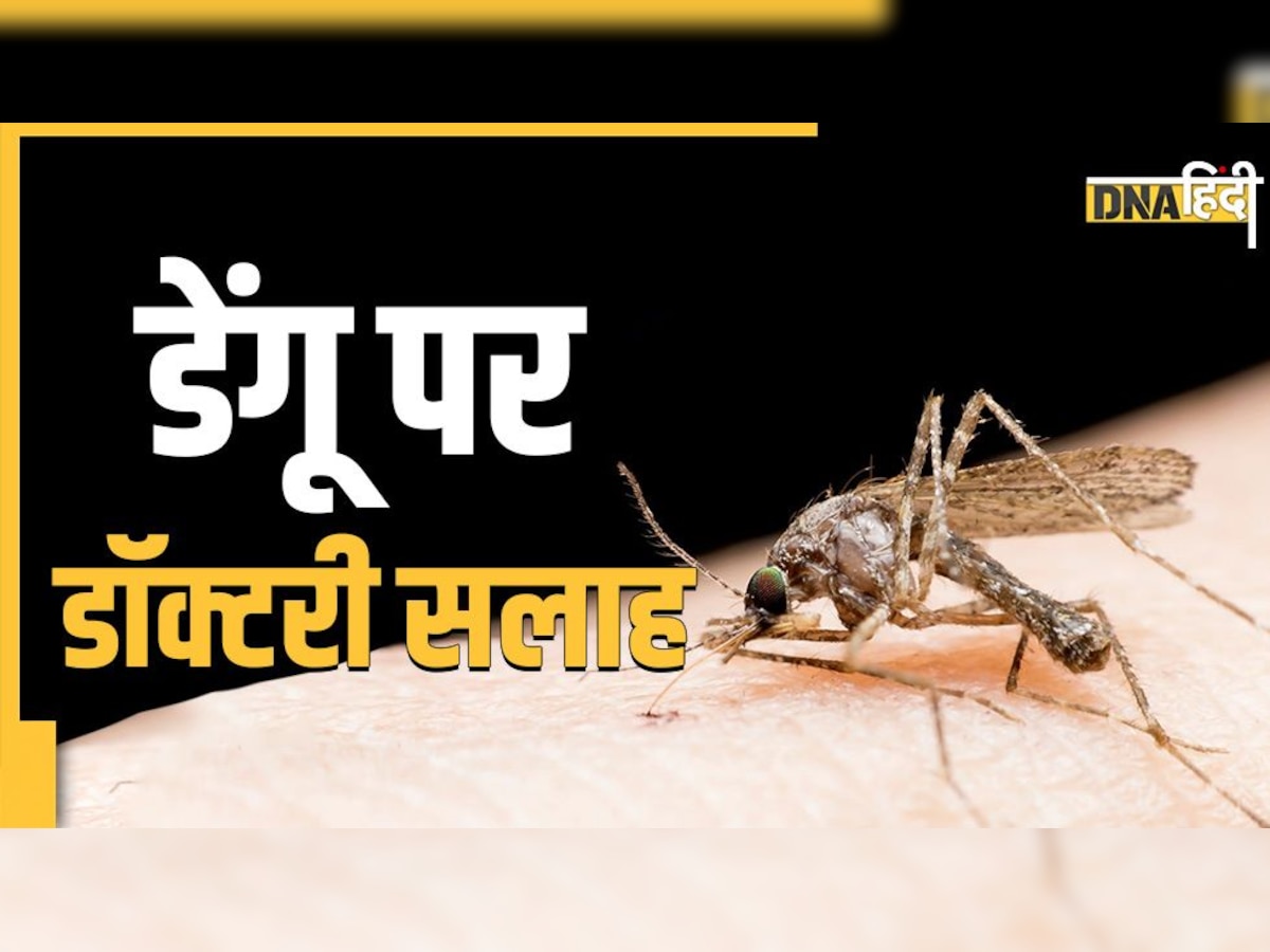 Dengue Fever: क्यों होता है डेंगू में प्लाज्मा और खून का रिसाव, क्या है इलाज? इस बुखार की सही जानकारी 