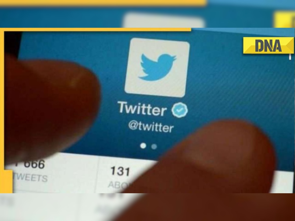 How to apply for Twitter's Blue Tick? Step-by-step guide