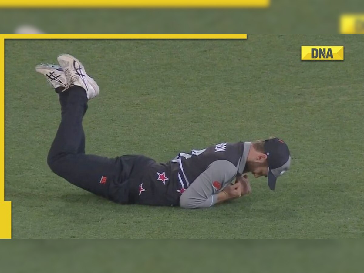 Did Kane Williamson cheat? Controversial catch claim stirs debate, NZ skipper calls it 'embarrassing' 