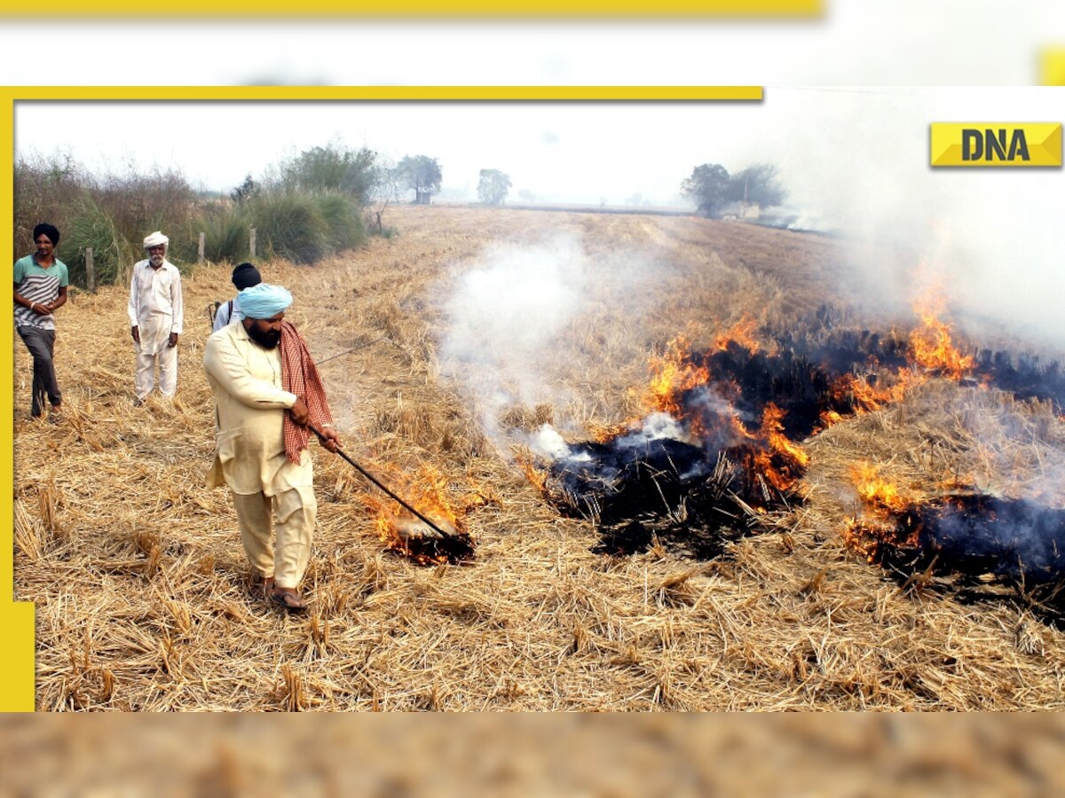 'Don't have option': For Punjab farmers, stubble burning is 'compulsion'; blame state govt for lack of facilities