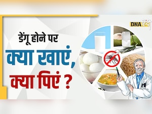 Dengue: डेंगू में ब्लड प्रेशर और प्लेटलेट्स को गिरने से कैसे बचाएं, जानिए डॉक्टर से सब कुछ