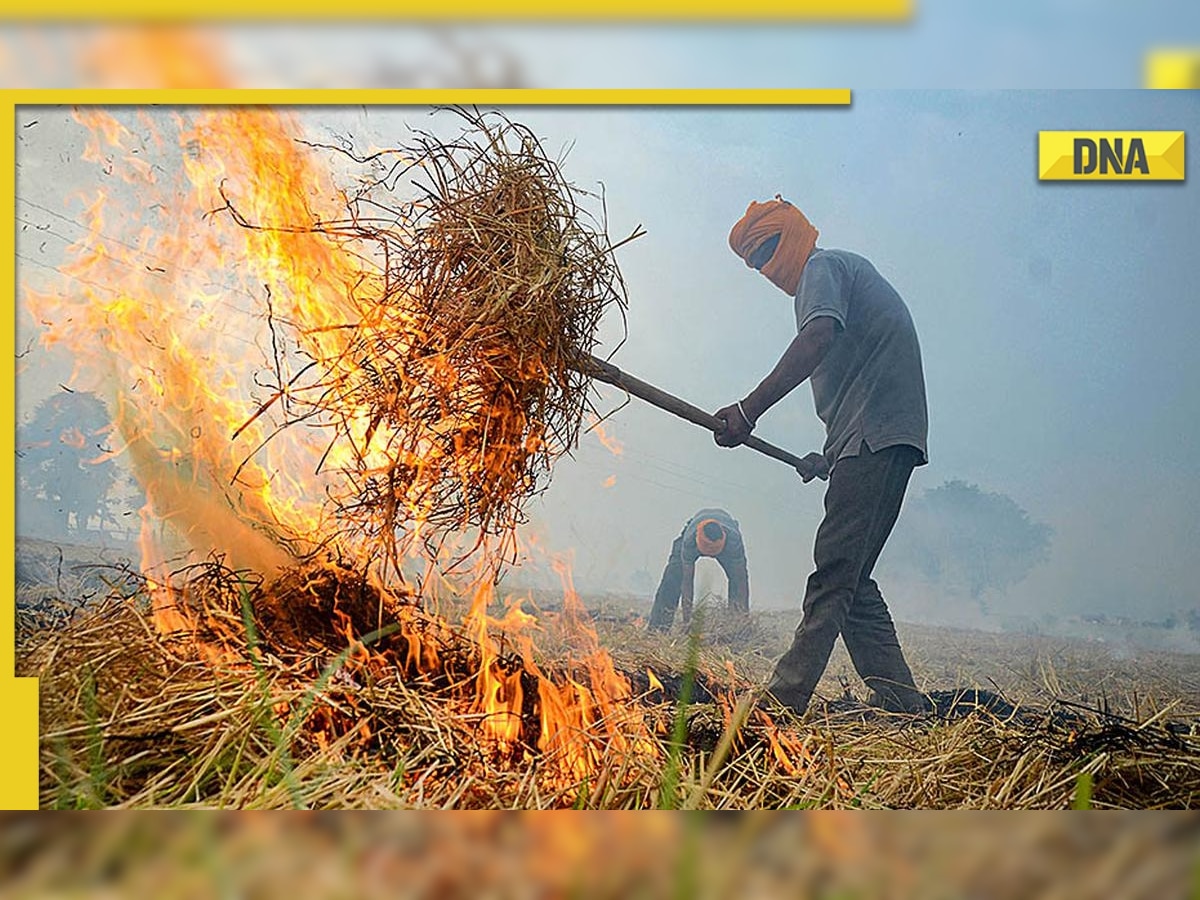 Scam is where AAP is: Union minister slams Punjab govt over farm fires; blames it for turning Delhi into 'gas chamber'