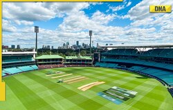 PAK vs SA T20 World Cup: Sydney Cricket Ground pitch and weather report for Pakistan vs South Africa 