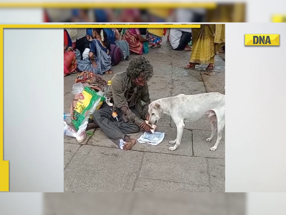 Homeless man feeds milk to dog, viral video leaves internet emotional