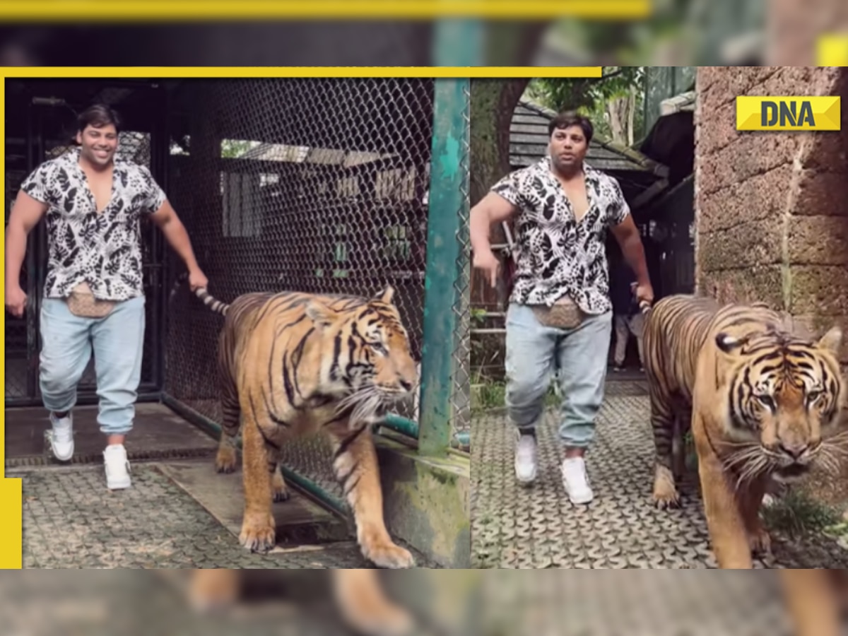 Indian Instagram influencer walks with tiger by holding its tail, viral video angers internet
