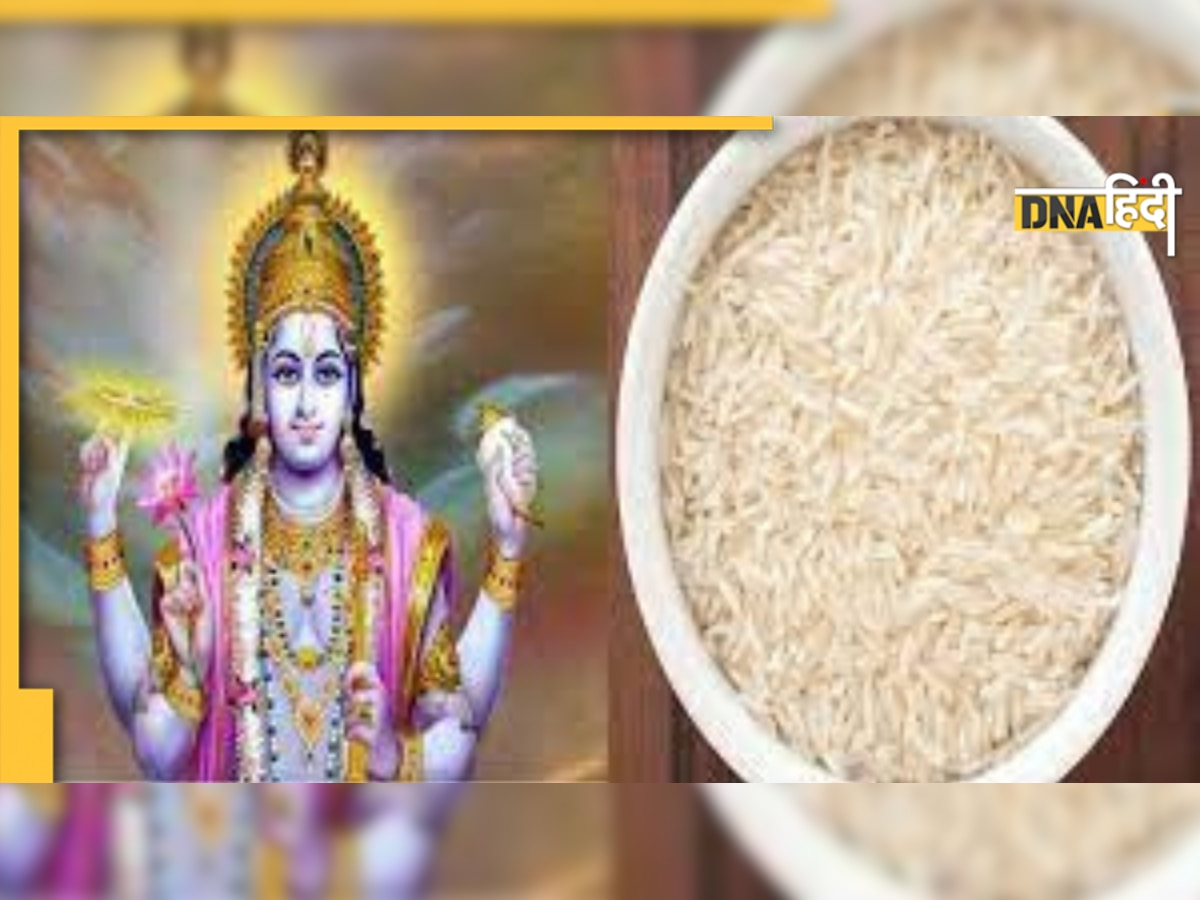 Ekadashi Vrat Chawal: तो इसलिए एकादशी पर नहीं खाते चावल, ये है धार्मिक और वैज्ञानिक कारण 